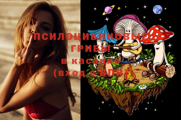 спайс Вяземский