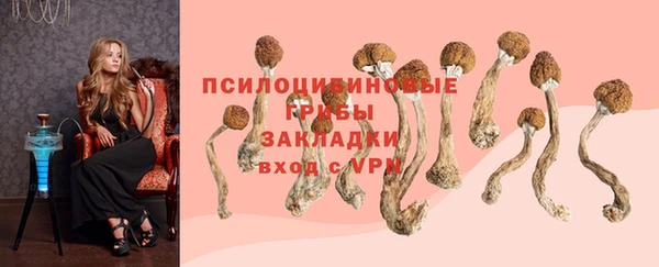 молекула духа Волосово