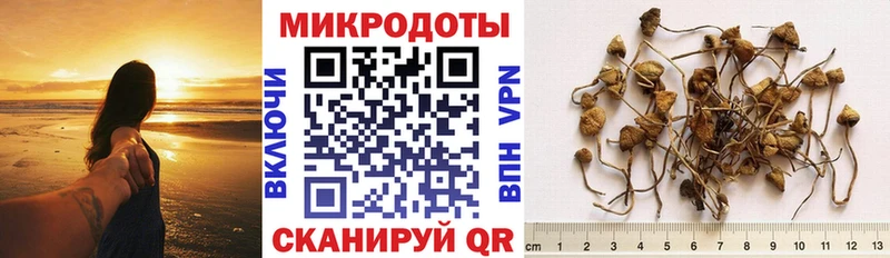 Галлюциногенные грибы прущие грибы  Луга 