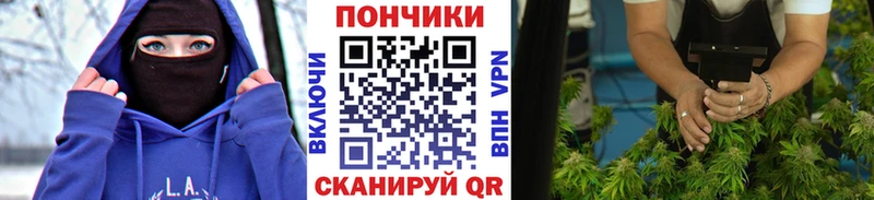 Шишки марихуана Amnesia Луга